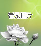 鲁比