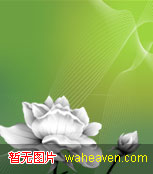 小鹿