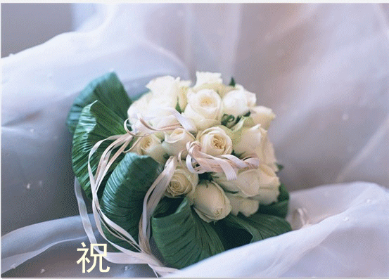 天堂公墓纪念网