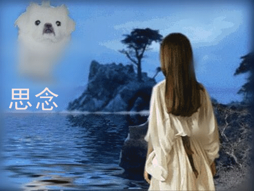 天堂公墓纪念网