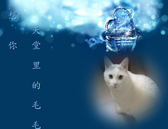 天堂公墓纪念网