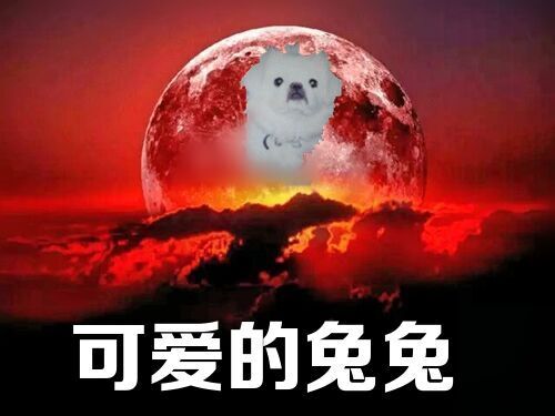 天堂公墓纪念网