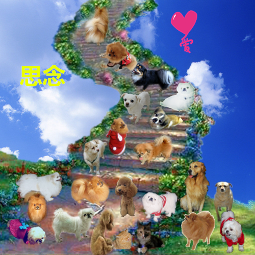 天� �公墓纪念网