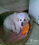 你最珍贵