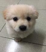 朱小嘟纪念馆