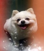 张雪球宝宝的🏠