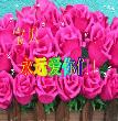 祝福