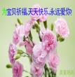 黄儿