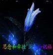 祝福