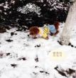 亲爱的宝贝