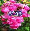 祝福