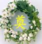我可爱的兔兔