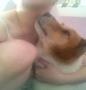 my angel