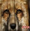 纪念
