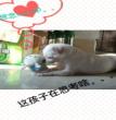 思念