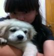 麻球和老婆