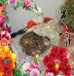 圆缘相册