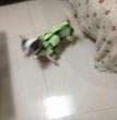 小熊的世界