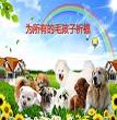 祈福图片