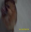 快乐的钱钱