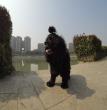 2015-03-12 (2)