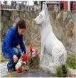 义犬赛虎