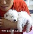 天使贝贝