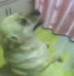 点点