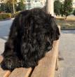 2014-12-26 (2)