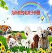 祈福