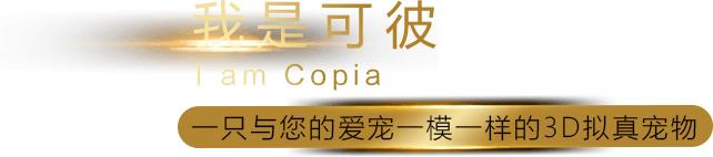 可彼系列